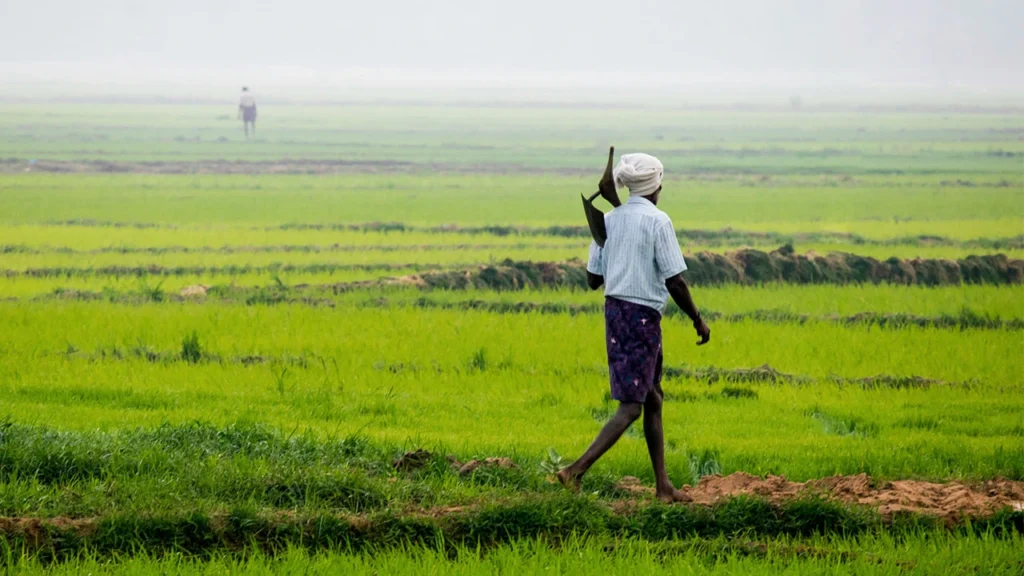 Pradhan Mantri Fasal Bima Yojana 2025
