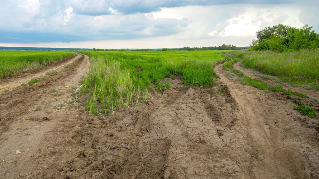 Chief Minister Baliraja Panand Road Scheme 2025