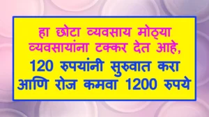 Small Business Ideas