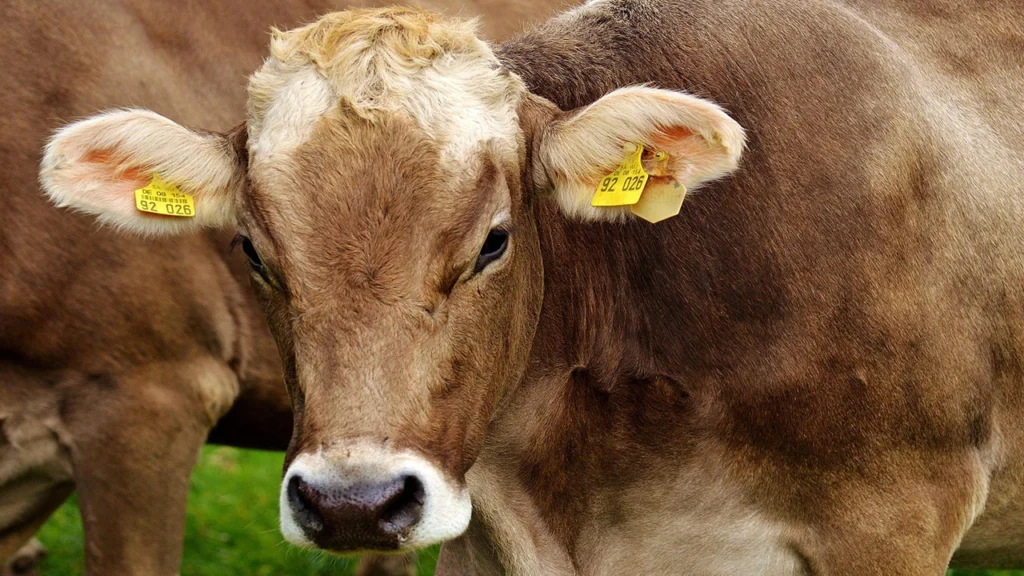 Top Village Business Ideas 2025