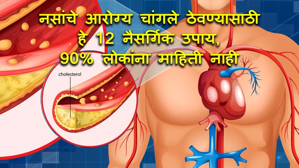 12 Natural Foods That Help Support Healthy Nerves and Blood Circulation