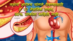 12 Natural Foods That Help Support Healthy Nerves and Blood Circulation