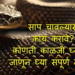 Snake Bite In Marathi 2026: