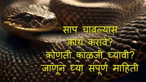 Snake Bite In Marathi 2026: