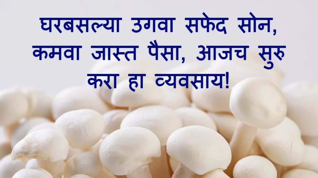 Profitable Work From Home Business 2026