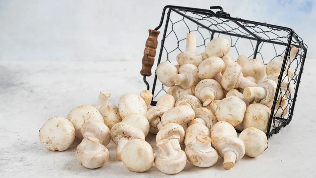 Profitable Work From Home Business 2026