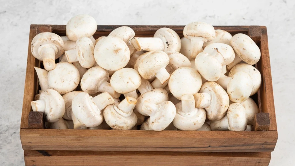 Profitable Work From Home Business 2026